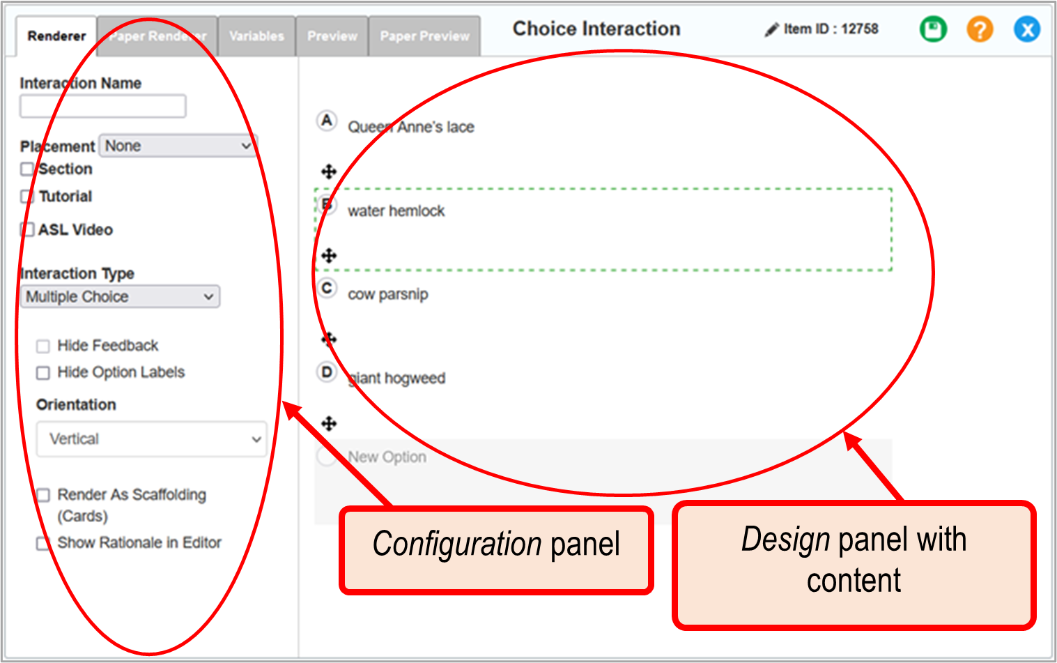 Choice interaction editor window: Multiple Choice: Renderer tab